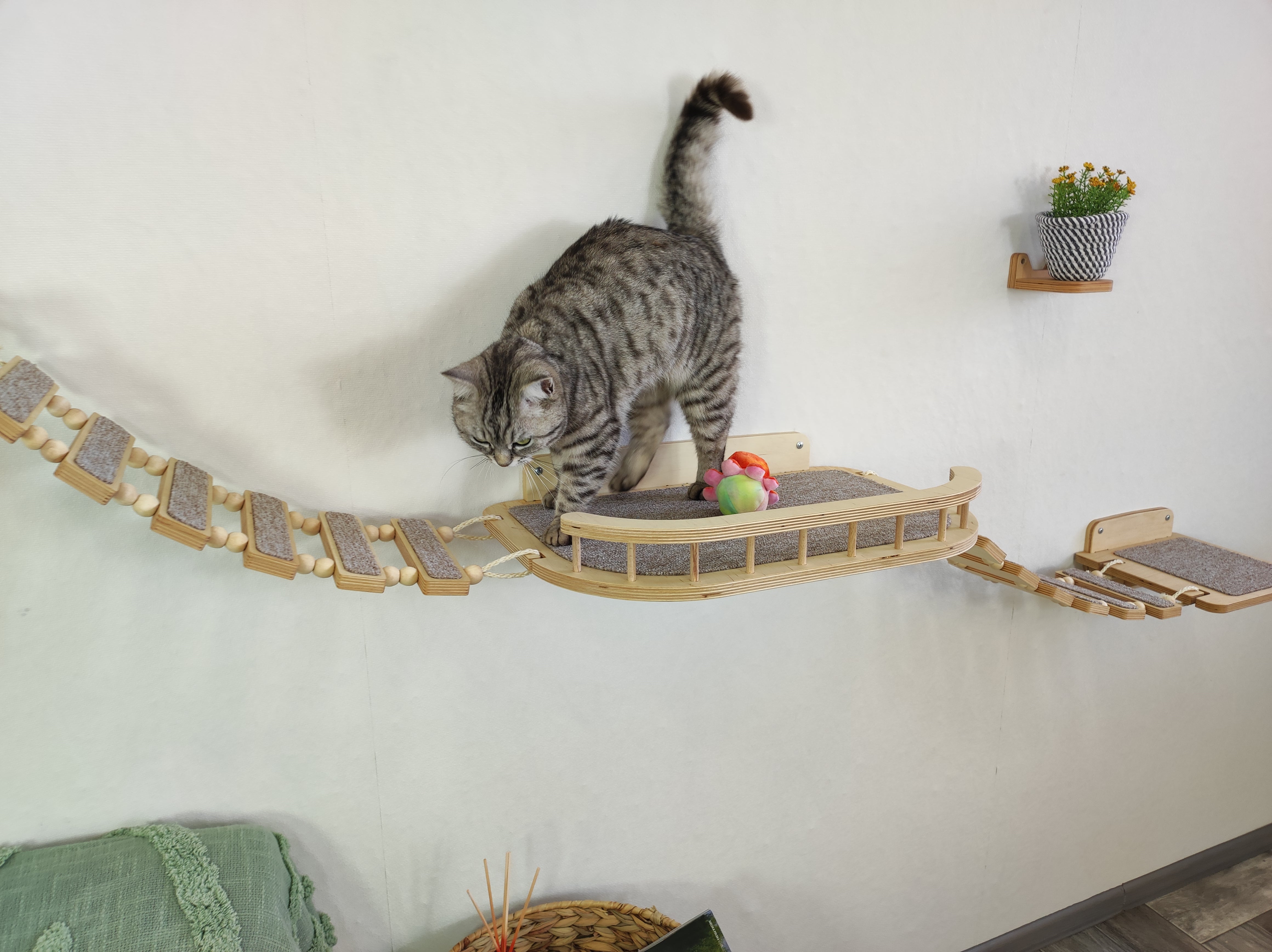 Cat tree made of natural materials on the wall