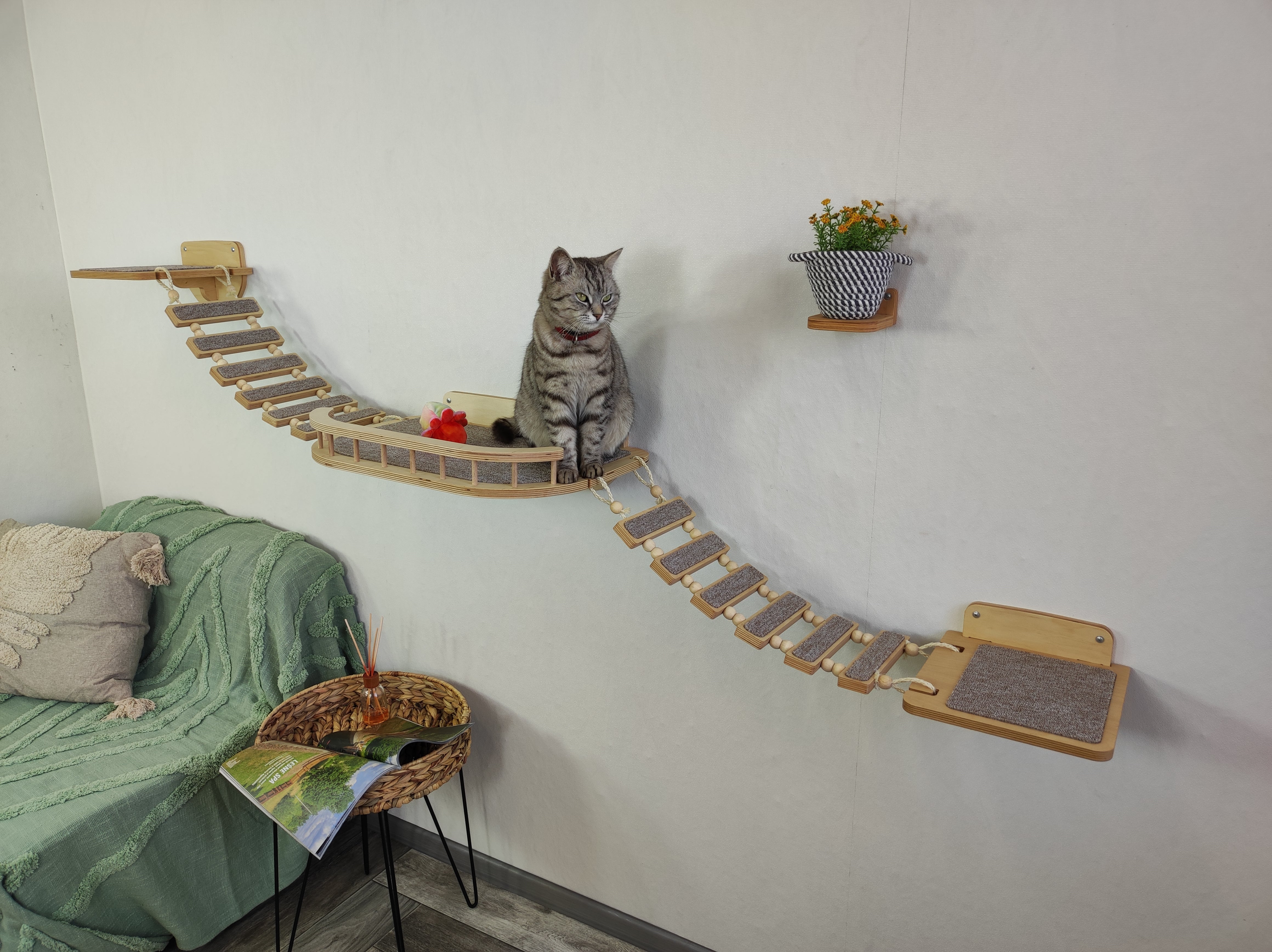 Cat Hanging Bridge 