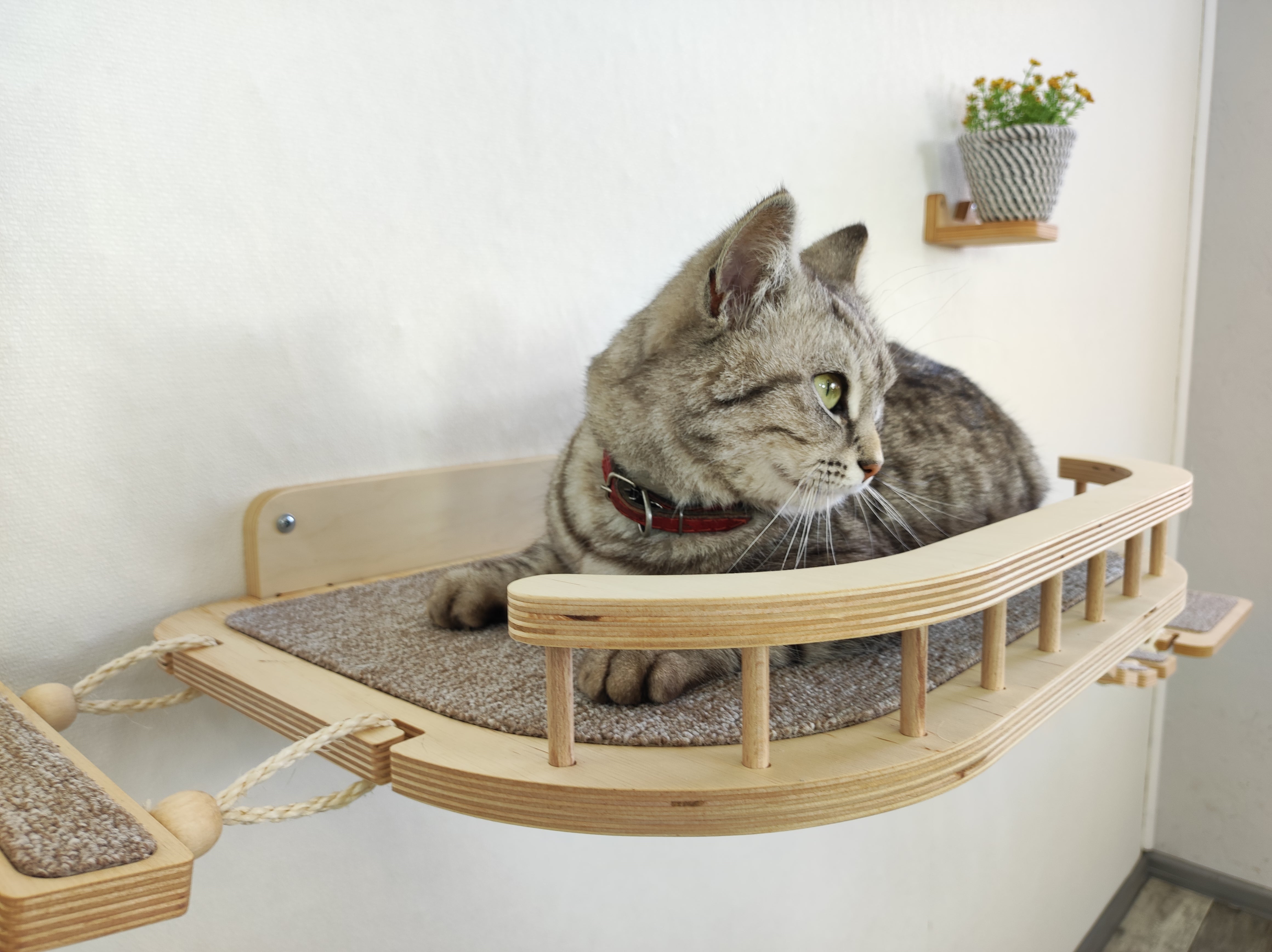 Cat Play Furniture