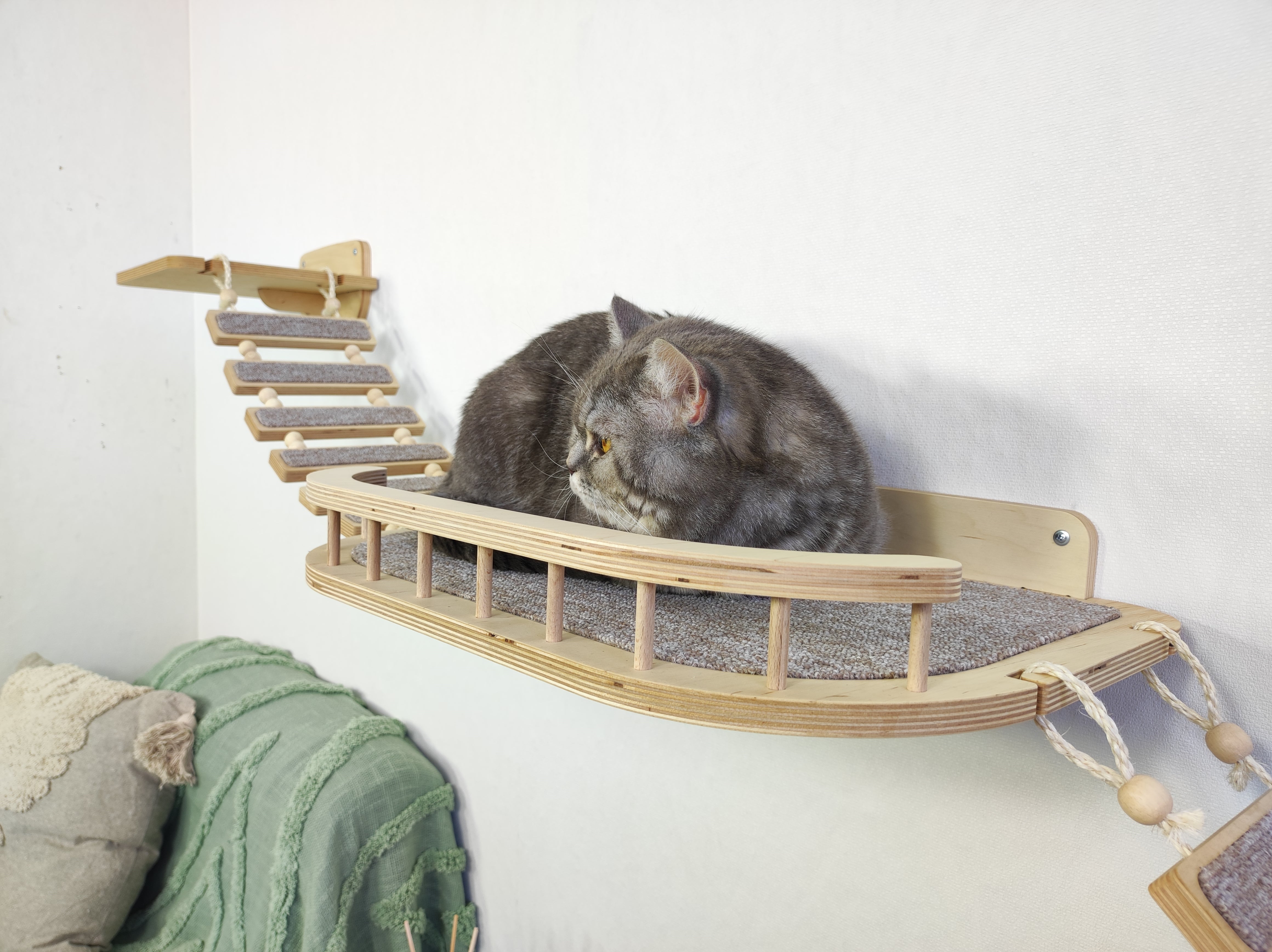 Best wall furniture for your cats 