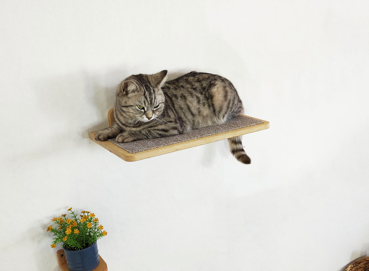 Cat wall furniture, Flat shelf for cats, Cat perch, Cat steps