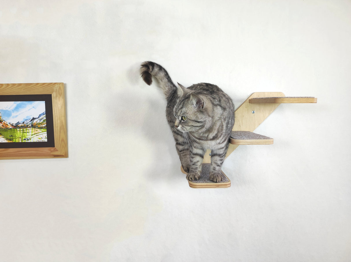 Cat wall ladder with steps, Cat wall steps