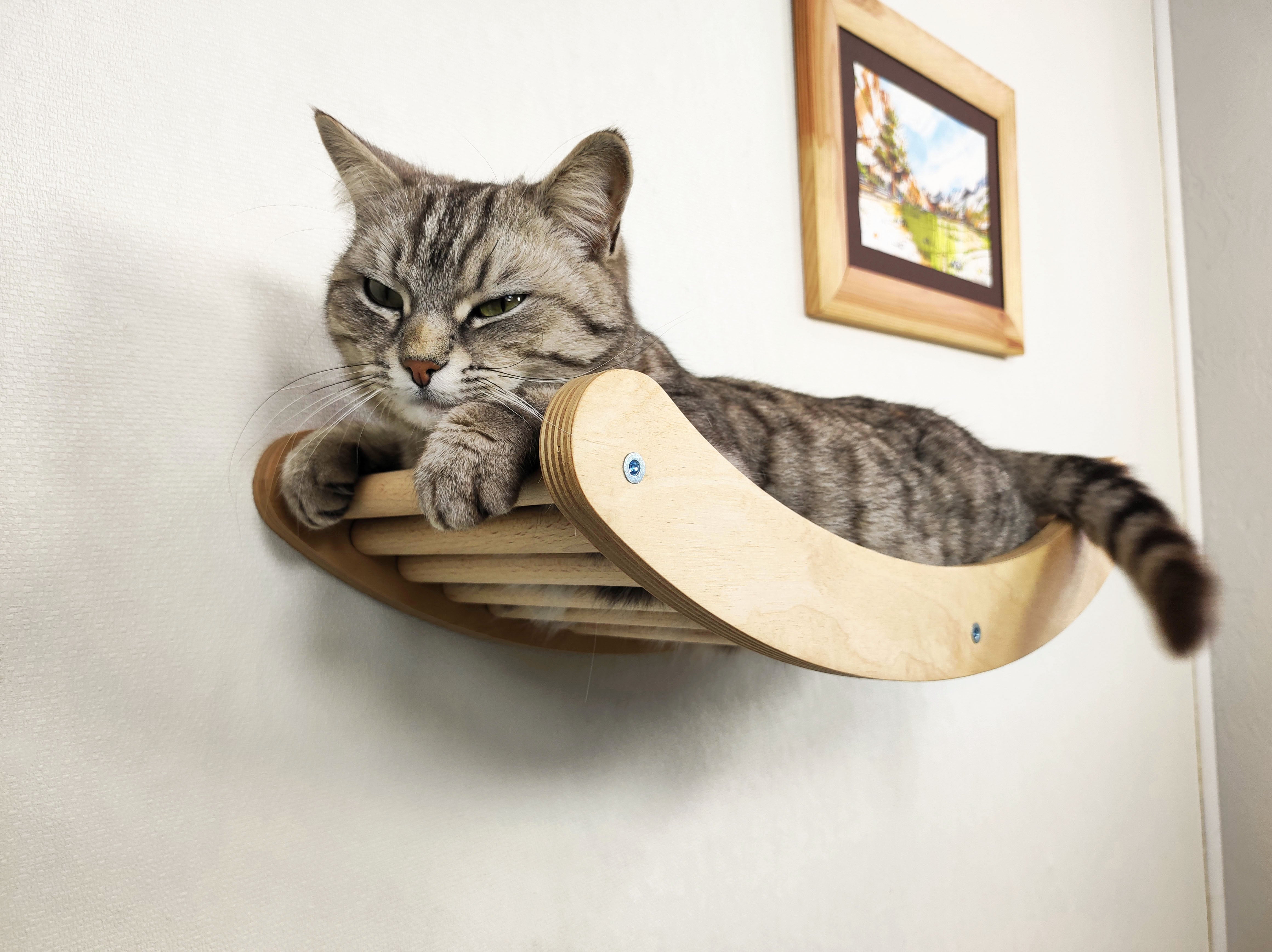 Cat modern "wave" shelf - Light