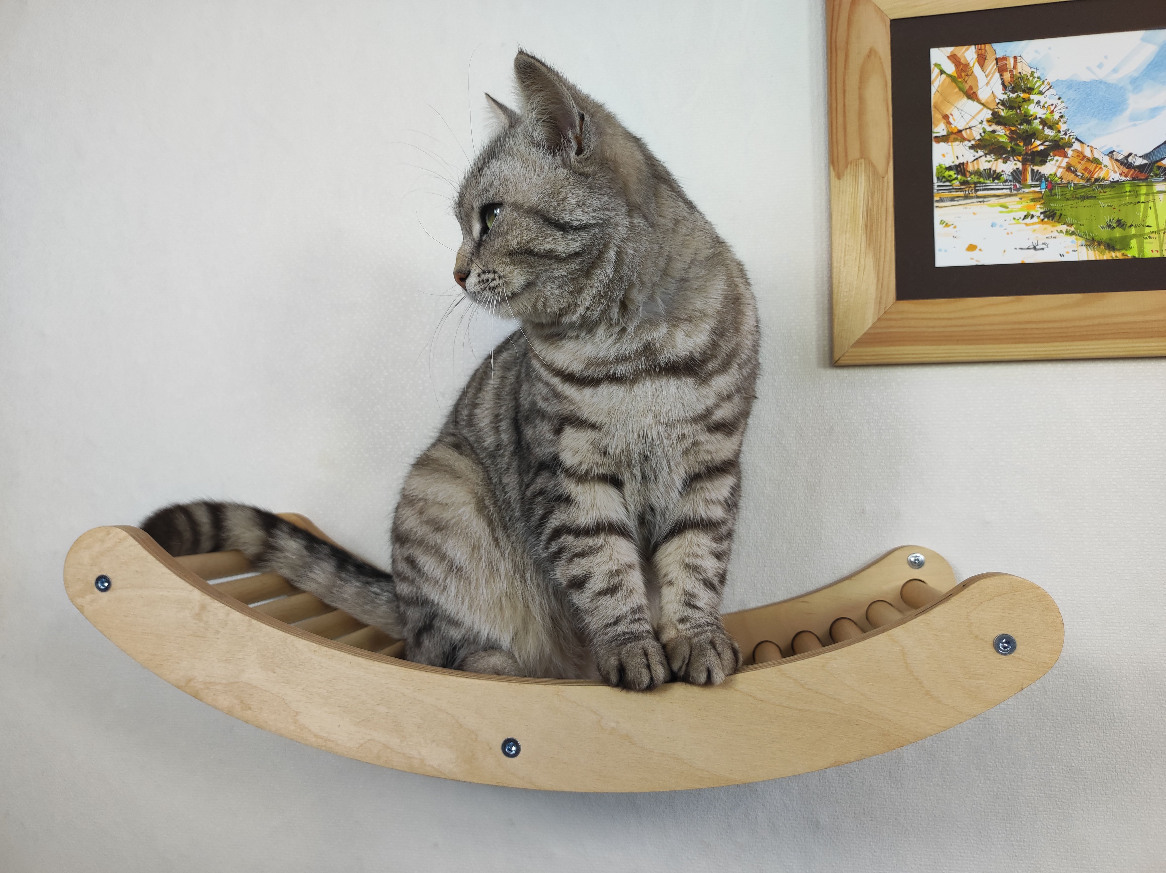 Cat modern "wave" shelf - Light
