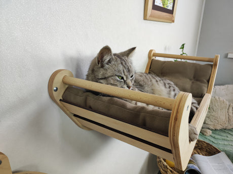 Convenient wall shelf for a cat