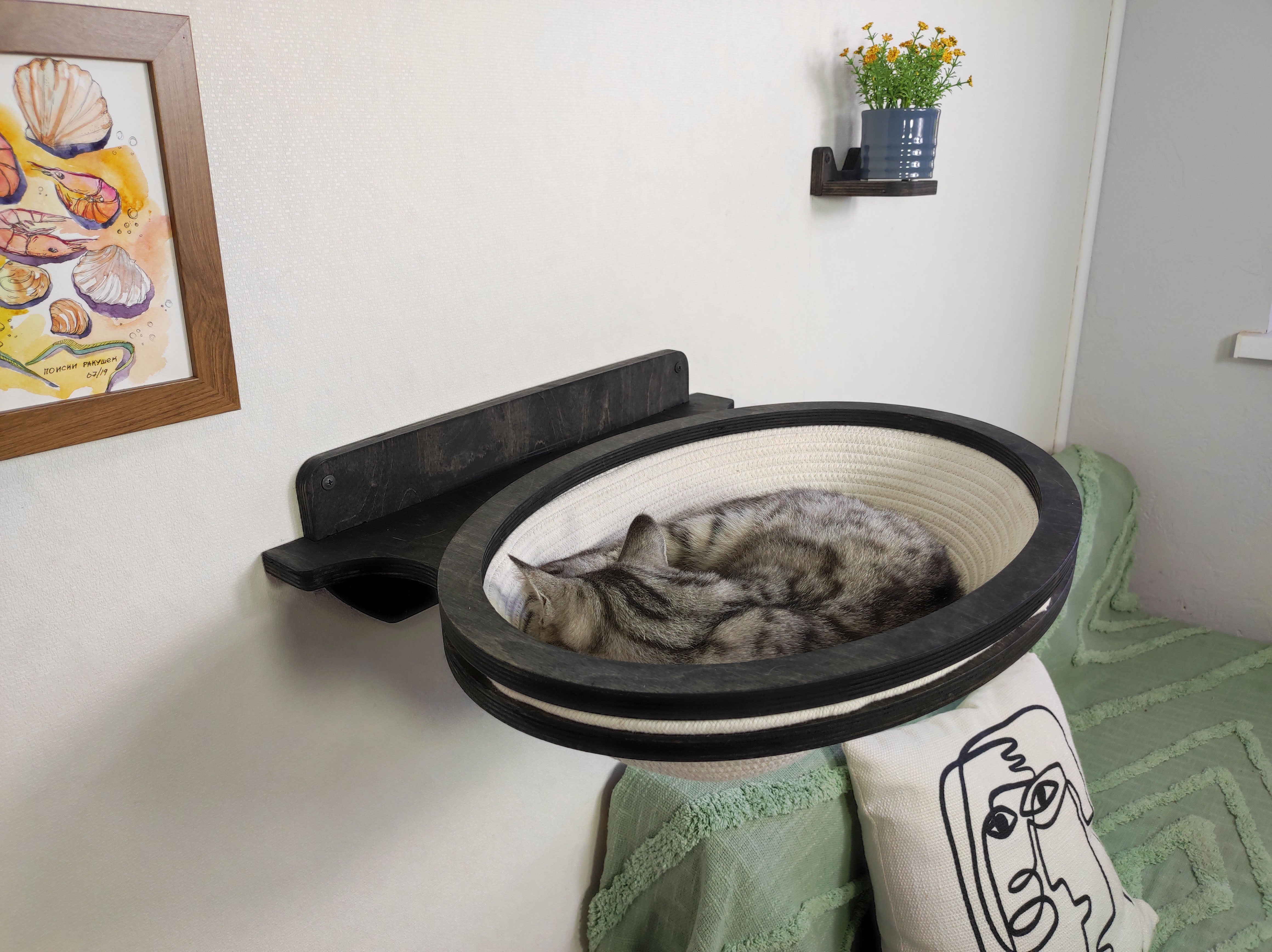Wall-mounted cat oval shelf with a cat inside