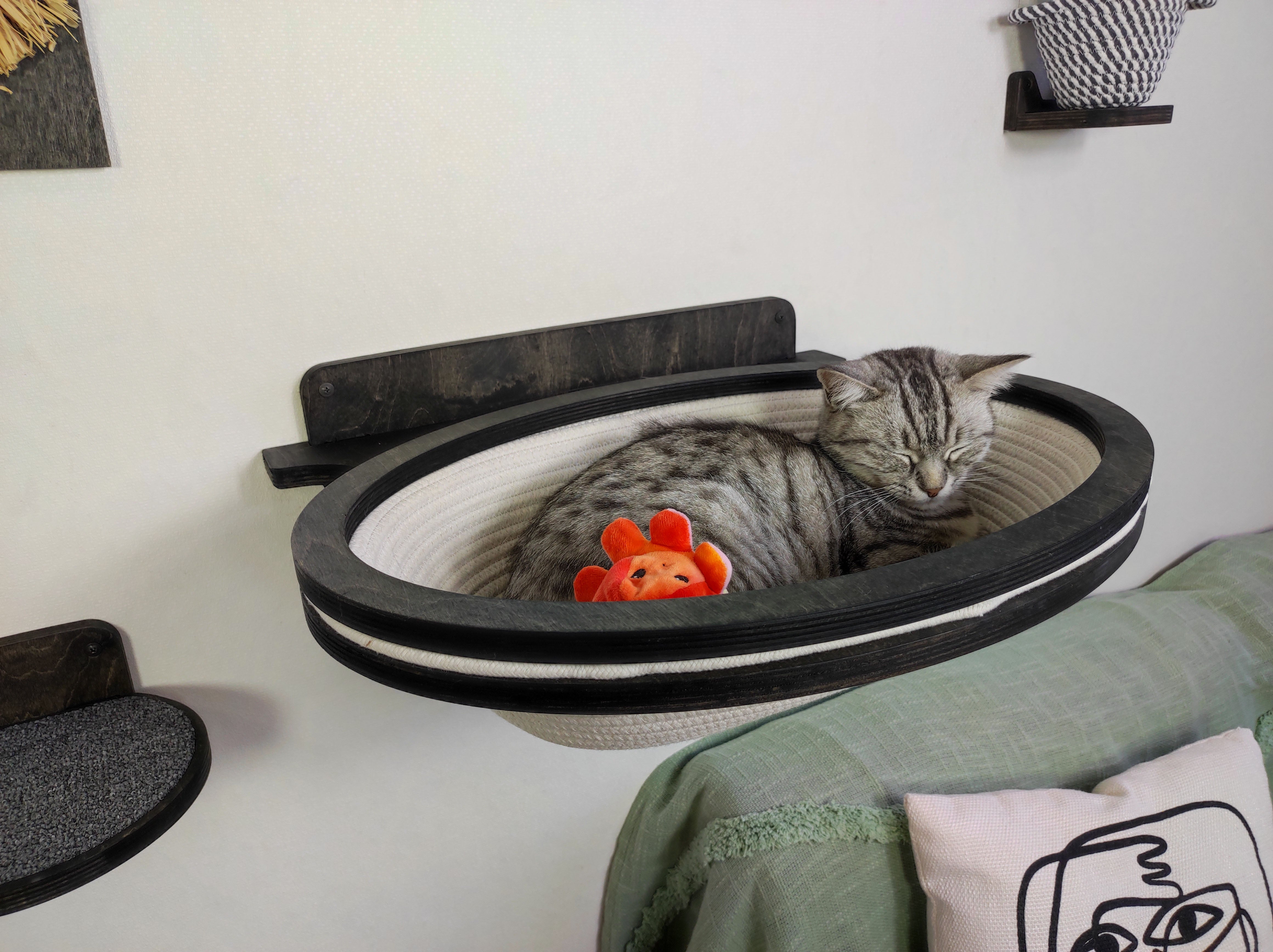 The cat sleeps in a wall-mounted oval cotton basket