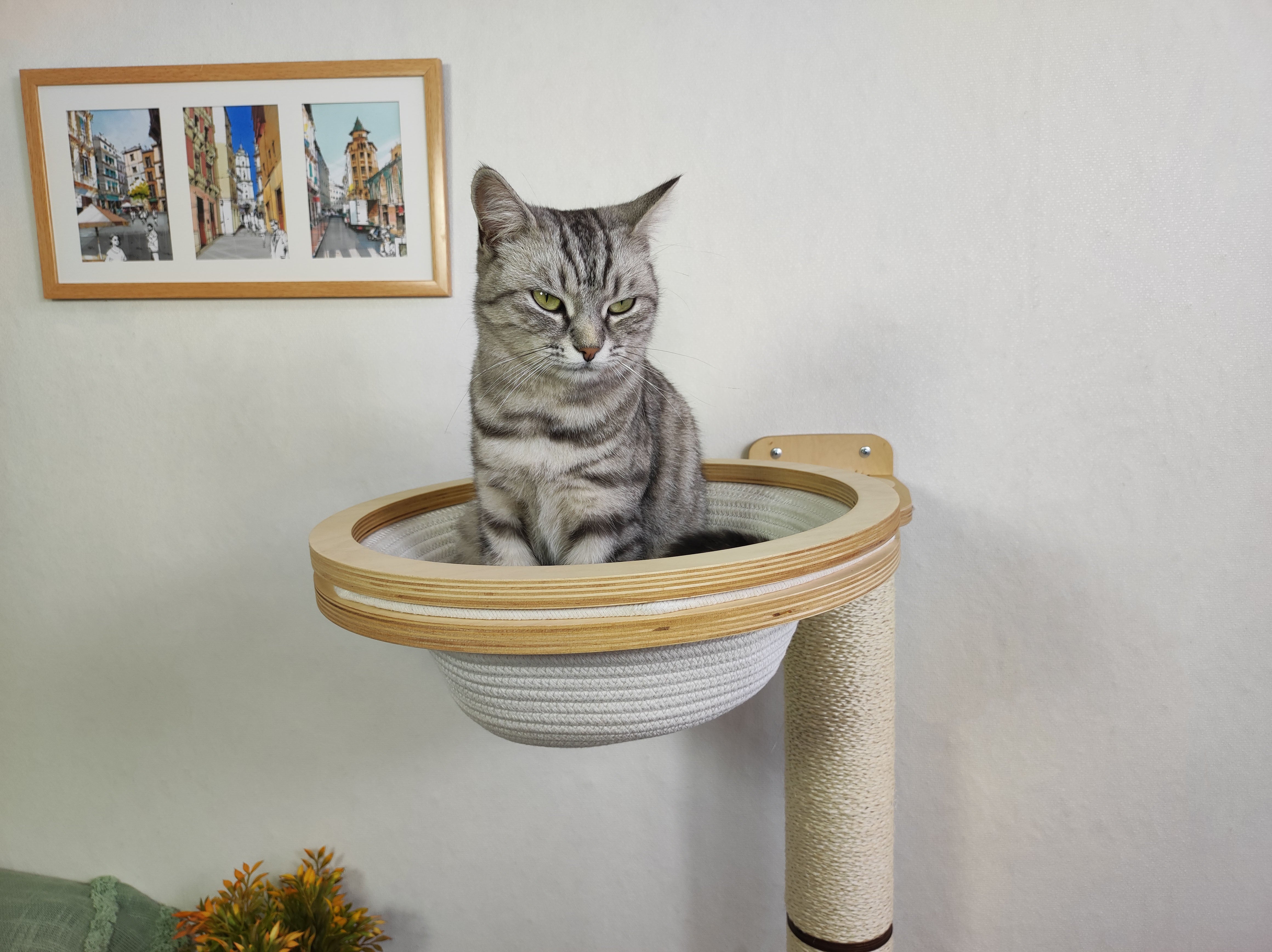 Wall-mounted round basket made of cotton thread for a cat made of light wood
