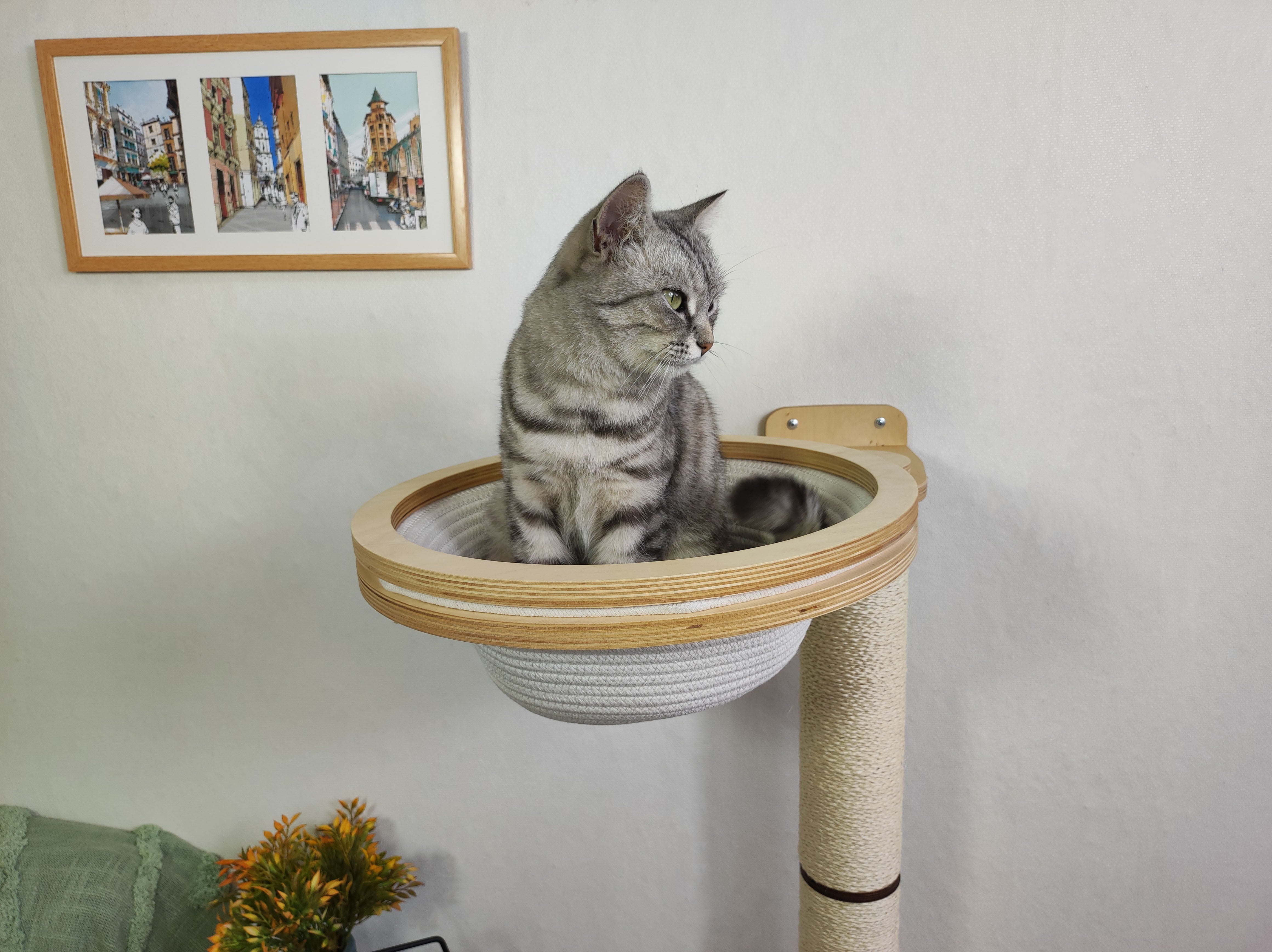 Round wall shelf for a cat together with a scratching post