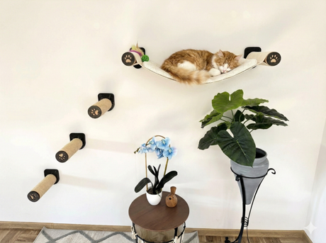 Cat lounging in a hammock attached to a wall with catnip toys and plants below.