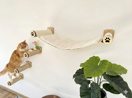 Cat climbing a wall-mounted cat tree with a plant in the foreground