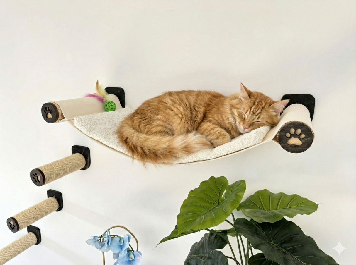 Cat sleeping on a hammock attached to a wall with scratching posts and a plant in the foreground.