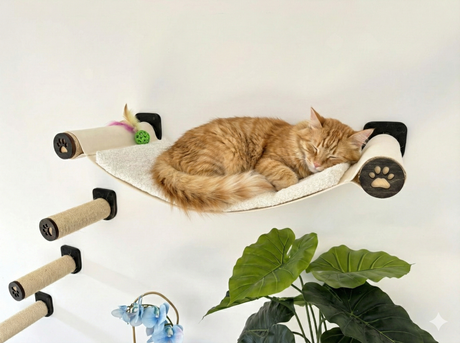 Cat sleeping on a hammock attached to a wall with scratching posts and a plant in the foreground.
