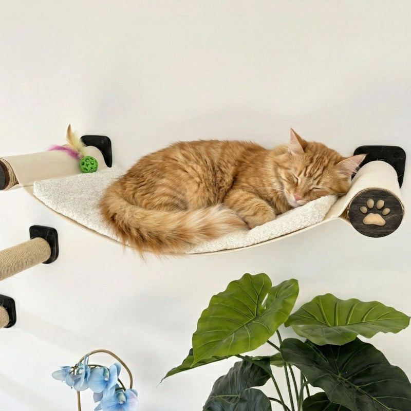 Cat sleeping on a hammock with a plant in the foreground