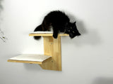 Wall shelves for cats, Cat Climbing Wall, Furniture for cats / Shelves for cats made of natural wood