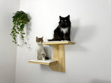 Wall shelves for cats, Cat Climbing Wall, Furniture for cats / Shelves for cats made of natural wood