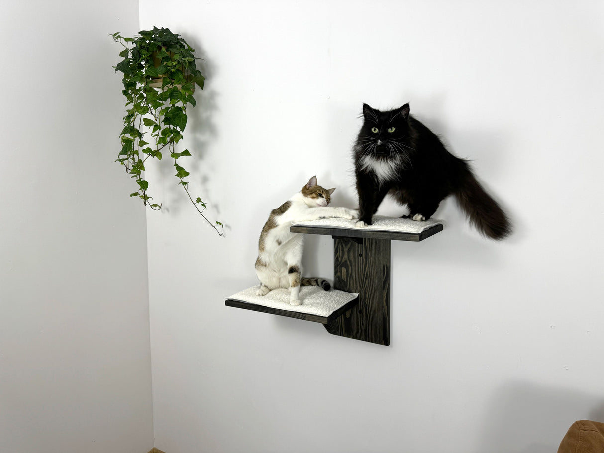 Wall shelves for cats, Cat Climbing Wall, Furniture for cats / Shelves for cats made of natural wood