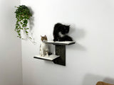 Wall shelves for cats, Cat Climbing Wall, Furniture for cats / Shelves for cats made of natural wood