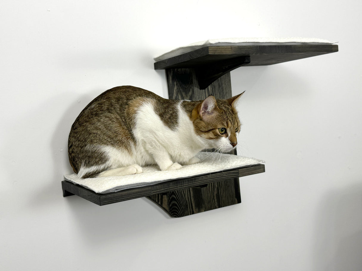 Wall shelves for cats, Cat Climbing Wall, Furniture for cats / Shelves for cats made of natural wood