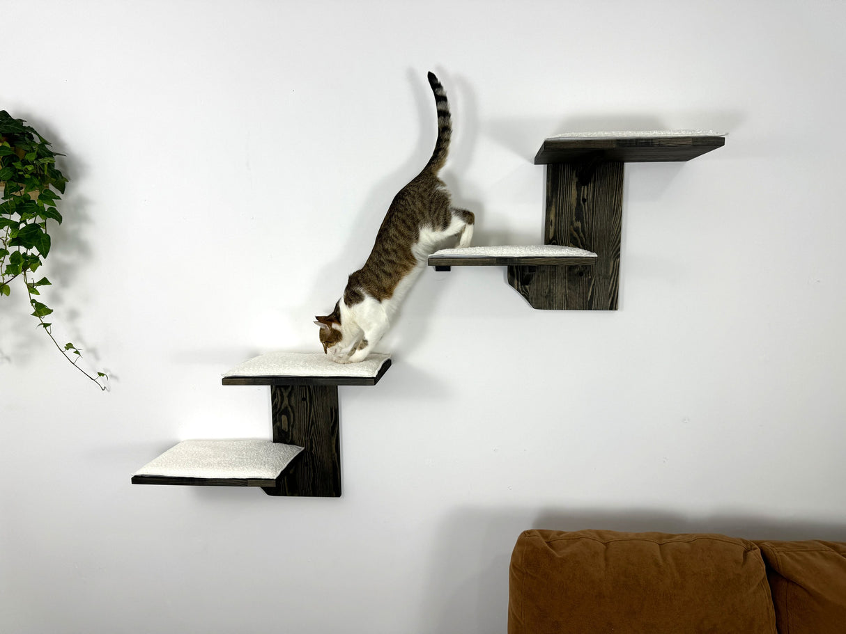 Cat Climbing Wall - Wall Mounted Cat Furniture Set - Cat Wall Shelves - Cat Shelves for Large Cats - Wooden Cat Shelves