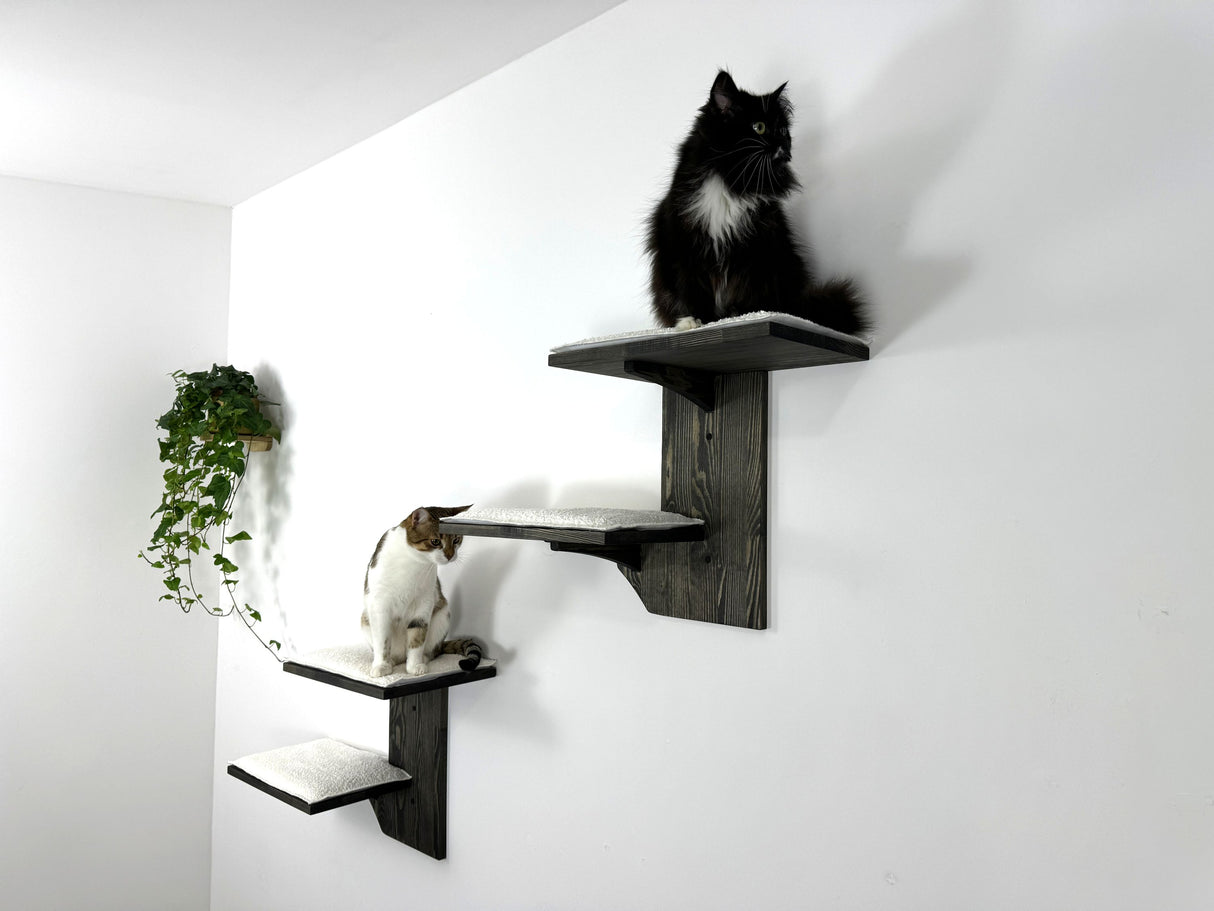 Cat Climbing Wall - Wall Mounted Cat Furniture Set - Cat Wall Shelves - Cat Shelves for Large Cats - Wooden Cat Shelves