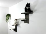 Cat Climbing Wall - Wall Mounted Cat Furniture Set - Cat Wall Shelves - Cat Shelves for Large Cats - Wooden Cat Shelves