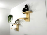 Cat Climbing Wall - Wall Mounted Cat Furniture Set - Cat Wall Shelves - Cat Shelves for Large Cats - Wooden Cat Shelves