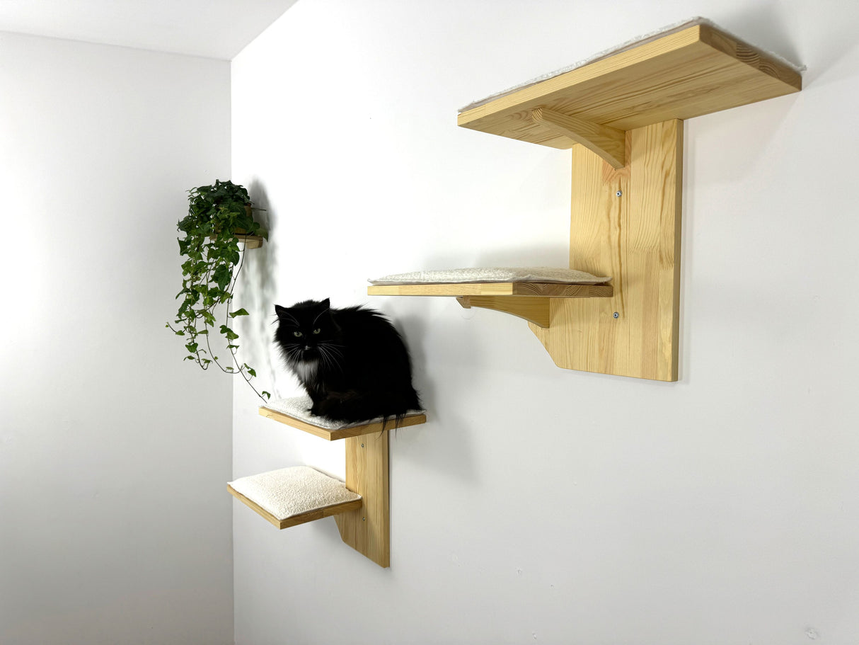 Cat Climbing Wall - Wall Mounted Cat Furniture Set - Cat Wall Shelves - Cat Shelves for Large Cats - Wooden Cat Shelves