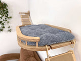 cat bridge walkway