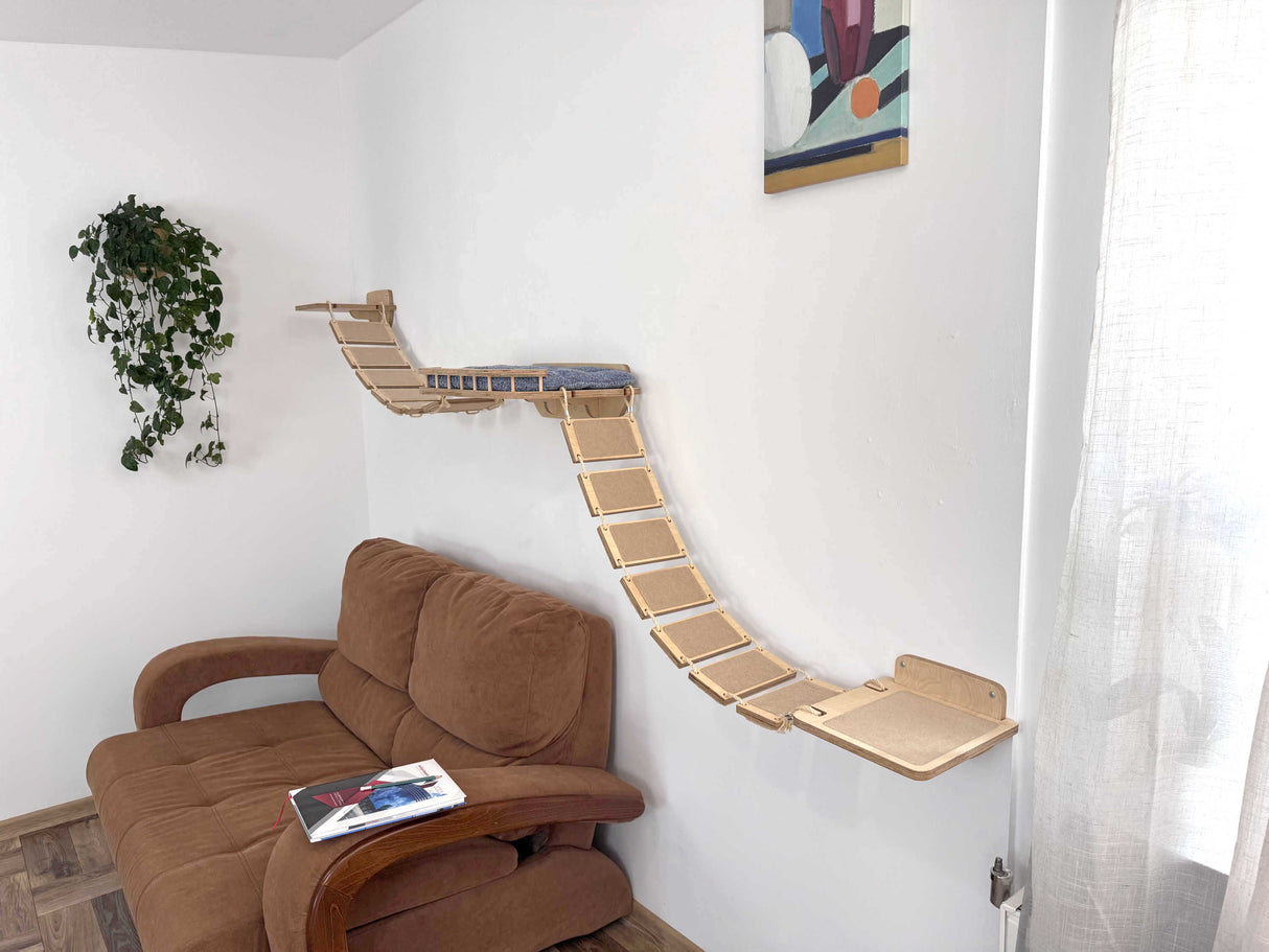kitty bridge