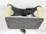 rectangular cat ceiling shelf