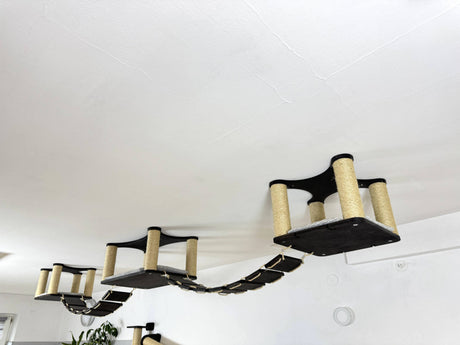 Wood Cat Bridge System 