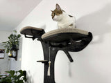 Cat sitting on a black cat tree with a white wall and plants in the background
