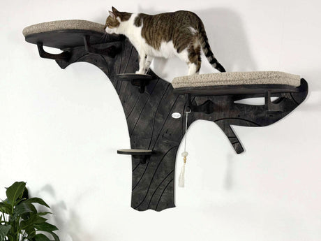 Cat climbing a wall-mounted cat tree with a white background