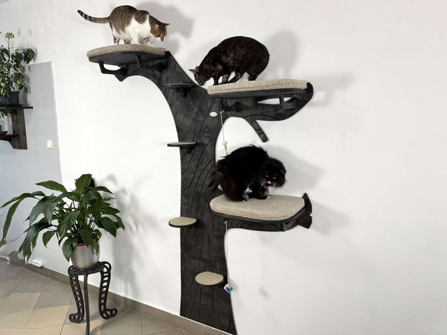 Cat tree with multiple levels and cats on a white wall background