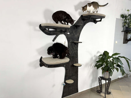 Cat tree with multiple levels and cats on a white wall background