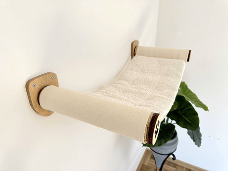 Wall-mounted cat hammock with a plant in the background