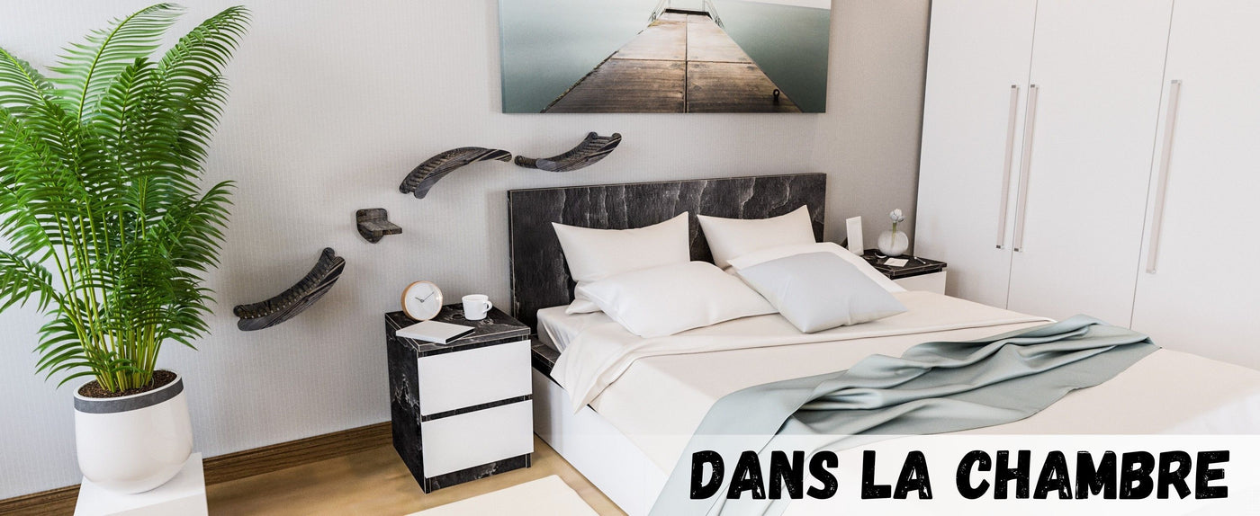 escaliers pour chats
