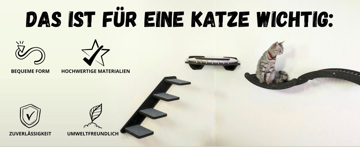 katzenbett
