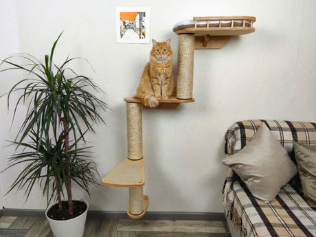 cat wall furniture
