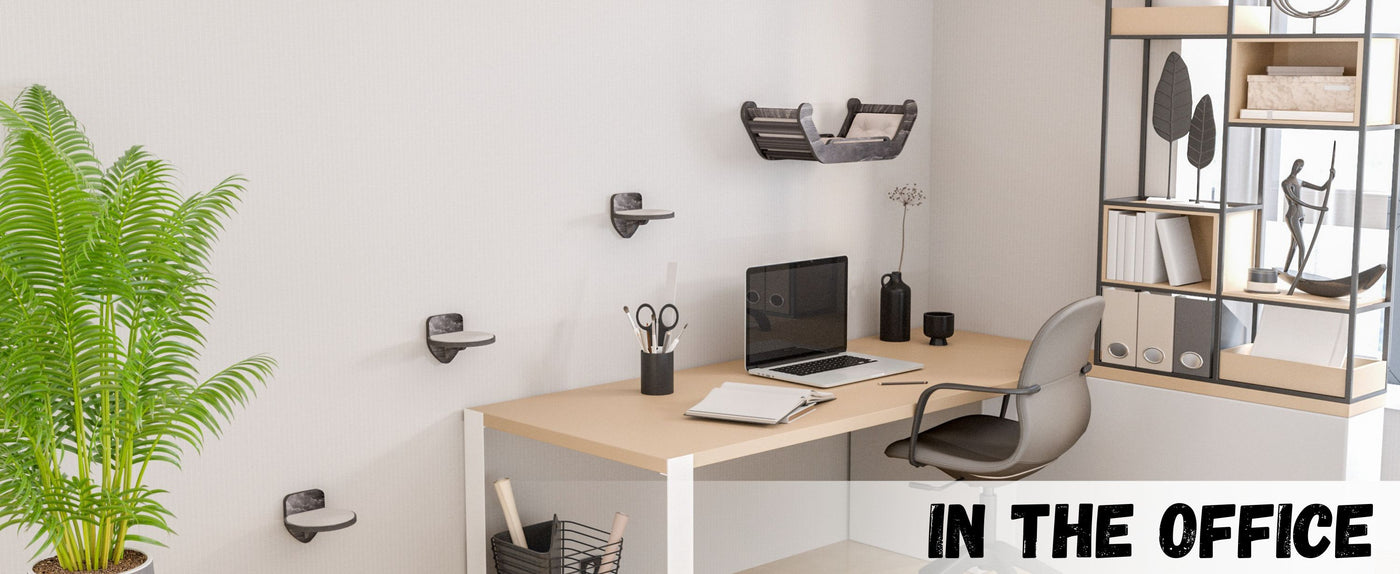 Modern office setup with a desk, laptop, and cat wall furniture.