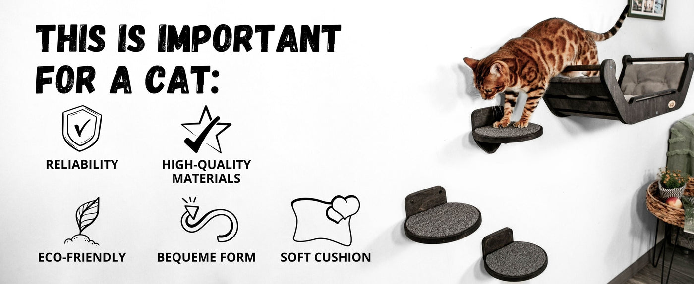 Cat climbing shelf with text highlighting features important for a cat, including reliability, high-quality materials, eco-friendliness, and more.