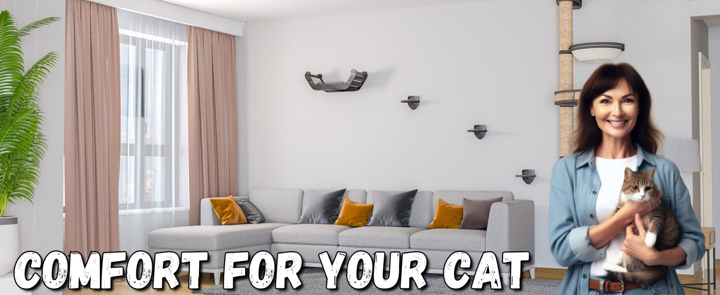 Woman holding a cat in a living room with text 'Comfort for your cat'.