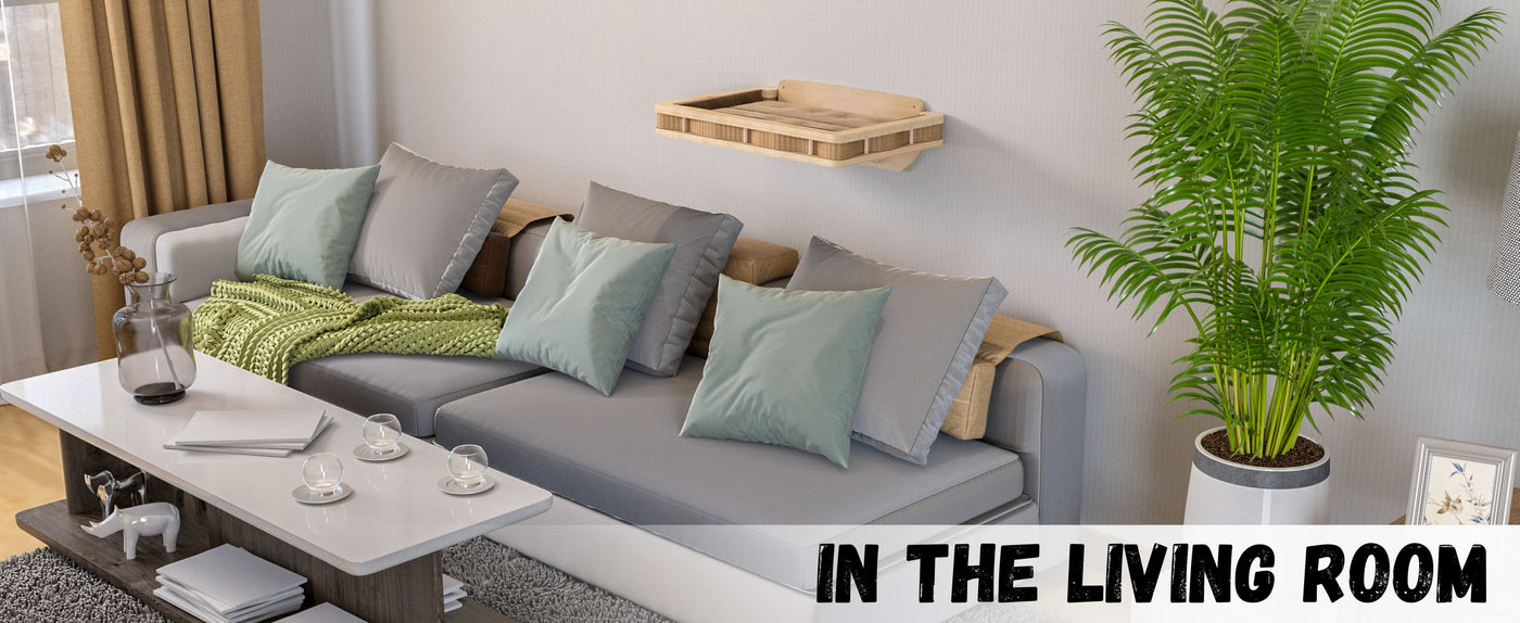 Living room with a gray sofa, coffee table, and cat wall shelf