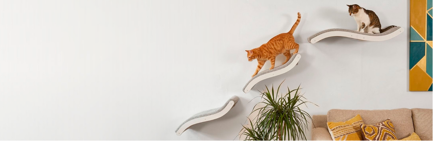 Two cats on modern cat trees against a white wall with a plant and colorful wall art.