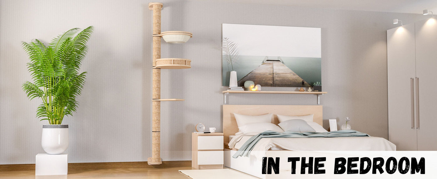 Modern bedroom with bed, nightstands, and cat wall shelves.
