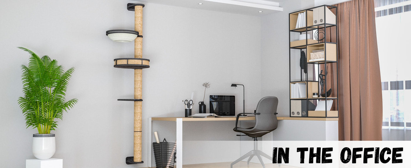 Modern office setup with desk, chair, and cat shelves.