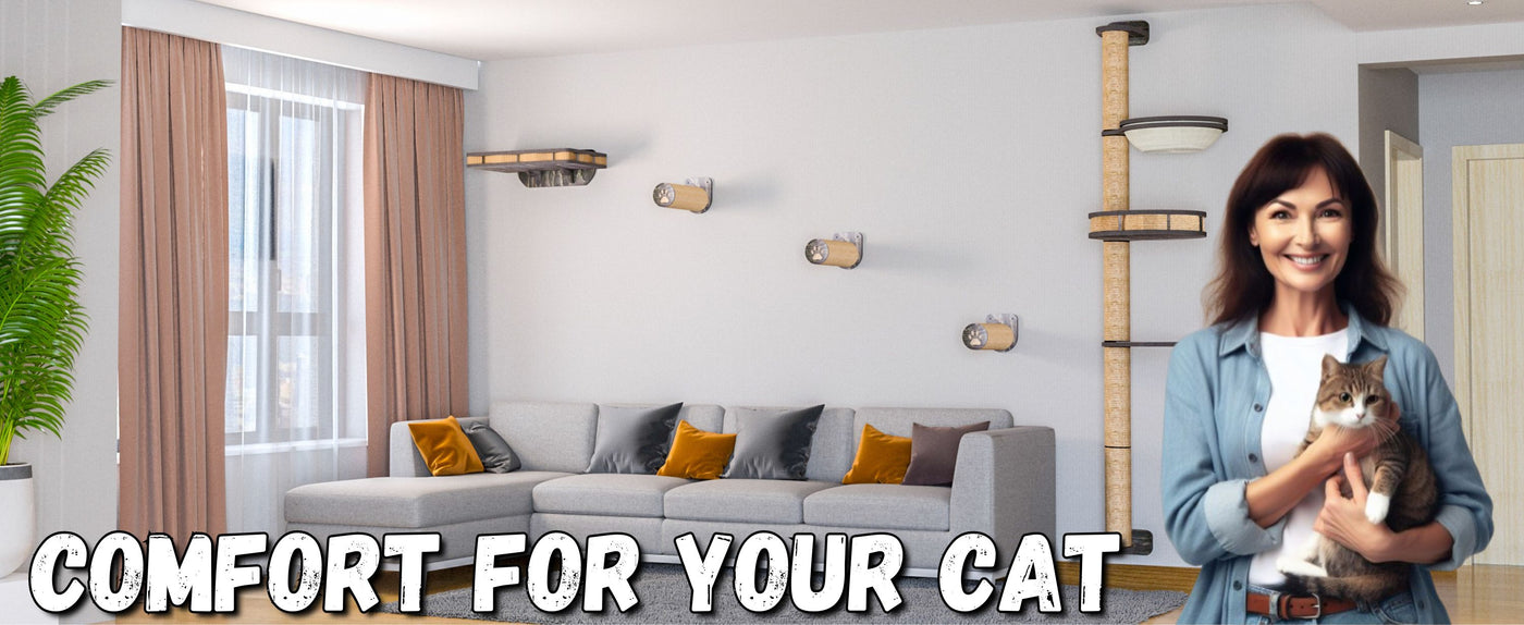 Woman holding a cat in a modern living room with a cat tree and comfortable furniture.