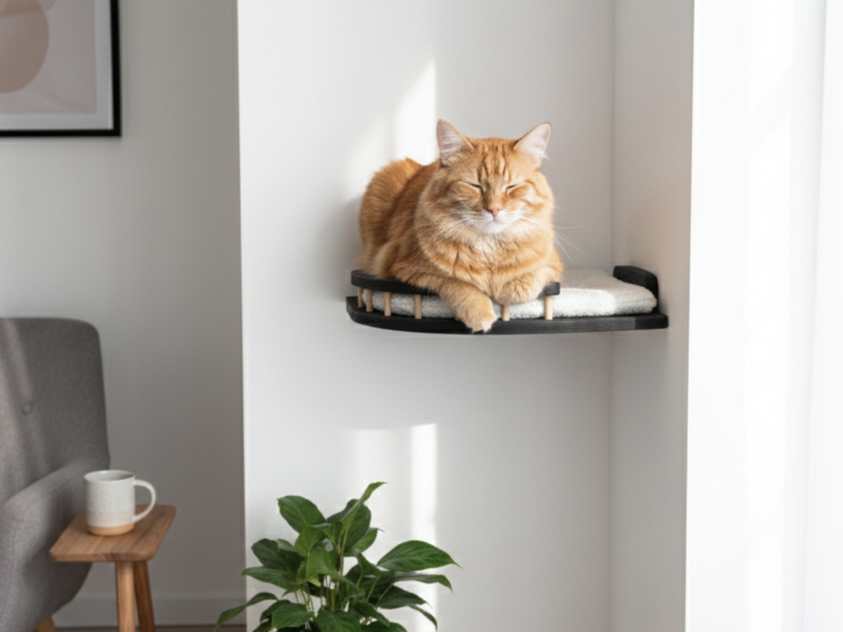 Orange cat lounging on a black cat shelf in a room with a plant and coffee cup.
