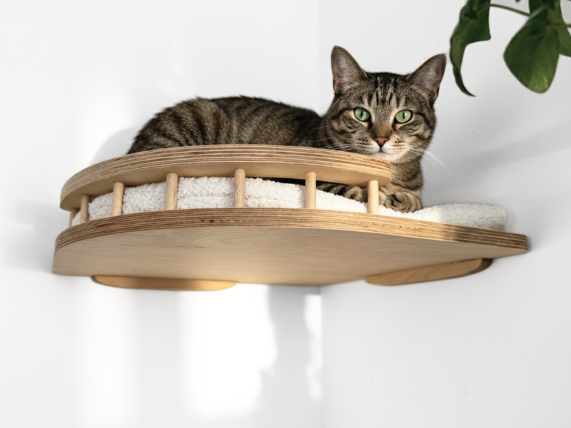 Cat lounging on a wooden cat shelf with white cushion against a white wall.